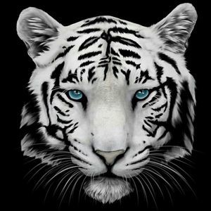 Meet your Posher, Gene